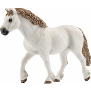 Welsh-Pony Stute