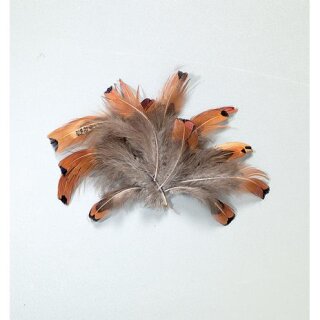 AAO Herzfasan  natur, 2 g