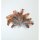 AAO Herzfasan  natur, 2 g