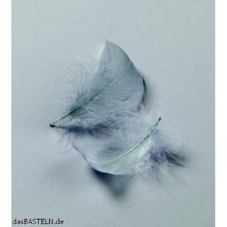 Deko-Federn, hellgrau, , 80 - 100 mm, 10 g ~ 110 Stk.