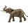 Afrikanischer Elefantenbulle