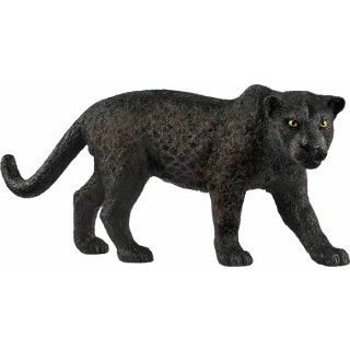 Schwarzer Panther