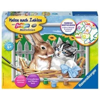Putzige Freunde, MnZ Serie D