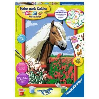 Haflinger, MnZ Serie Pferd