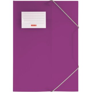 AAO Sammelmappe A4 FACT! violett