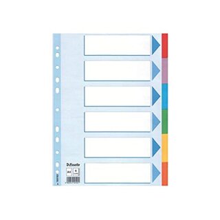 Kartonregister Standard Blanko, A4, Karton, 6 Blatt, weiss