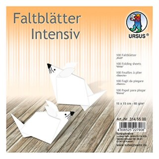 INTENS.FALTBL.UNI 15x15CM,100BL.PLAKATPAP.WEISS