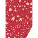 Karton 50x70cm 300g Star rt/go