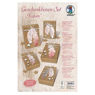 GESCHENKBOXEN-SET "FEDERN" ROSA/SILBER