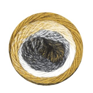 AAO CHIC & WARM 100 G SENF