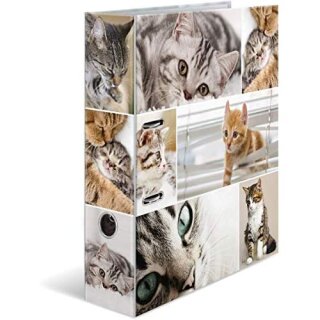 Ordner A4, Serie Animals