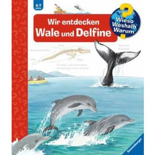 WWW41 Wir entdecken Wale und Delfine, WWW-Standard (ab 01/06)