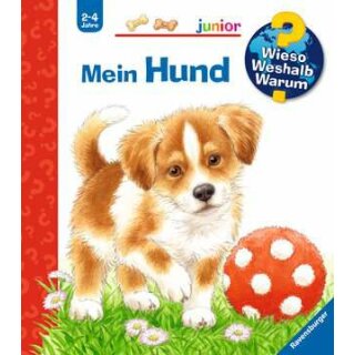 WWWjun41: Mein Hund, WWW-junior (ab 01/06)