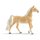 HC American Saddlebred Stute