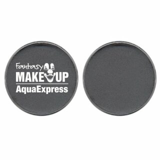 Aqua-Express-Make-up 15 g, grau