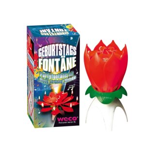 Fontäne mit Happy-Birthday-Melodie