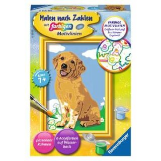 Kleiner Golden Retriever, MnZ Serie F