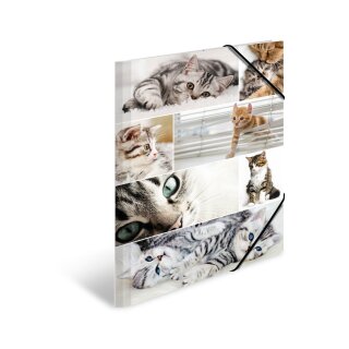 Sammelmappe A3 Pappe Katzen