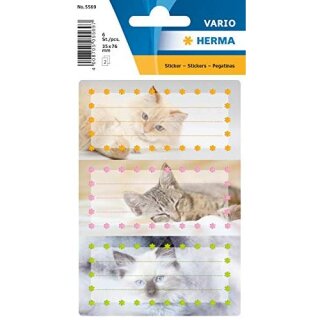 VARIO Katzen, beglimmert