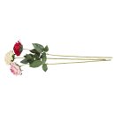 Rose offen 65cm Satin 3-fbg.sort.