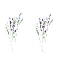 Lavendel 60cm mit 4 Bl&uuml;ten 3-fbg.sort.