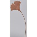 Ginkgo Blatt 25xH118cm
