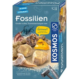 Fossilien