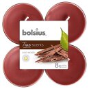 Maxi-Lichte transparent 8 Stunden 8er Pack True Scents,...
