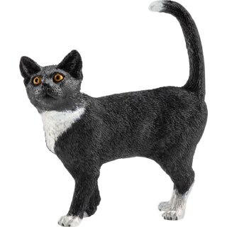 Katze, stehend