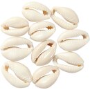 Muschelperlen, L 20 mm, Natur, 12Stck.
