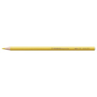 Farbstift aquacolor Kartonetui ARTY 12St/12 Farben