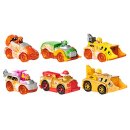 AAO PAW True Metal 6 Pack Gift Set Spar
