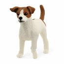 Jack Russell Terrier