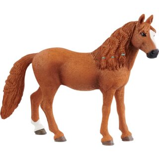 Deutsches Reitpony Stute