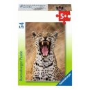 AT Exotische Tiere        54p