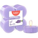 Maxi-Lichte transparent 8 Stunden 8er Pack True Scents,...