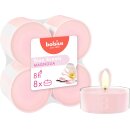 Maxi-Lichte transparent 8 Stunden 8er Pack True Scents,...