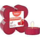 Maxi-Lichte transparent 8 Stunden 8er Pack True Scents,...
