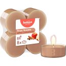 Maxi-Lichte transparent 8 Stunden 8er Pack True Scents,...