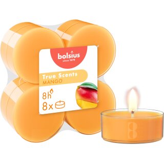 Maxi-Lichte transparent 8 Stunden 8er Pack True Scents, Mango
