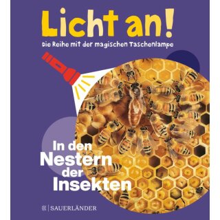 Licht an! 11 Nester der Insekten