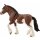Clydesdale Stute