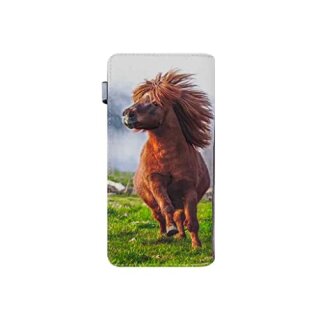 Langbörse  Preisgruppe 24,99 €