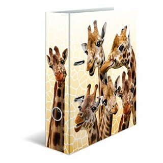 Motivordner Exotische Tiere, Giraffe A4, 7cm