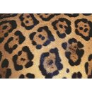 Animal Print              1000p