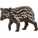 Tapir Junges