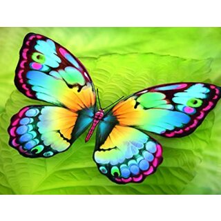 Diamond Painting Schmetterling 40x30 cm