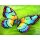 Diamond Painting Schmetterling 40x30 cm