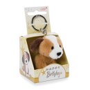 Hund 6cm SA, "Happy Birthday" in Geschenkbox