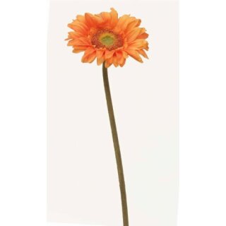 Gerbera Daisy 48cm